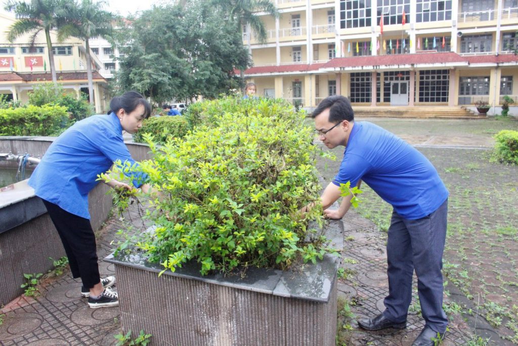 TRƯỜNG CAO ĐẲNG BẮC KẠN