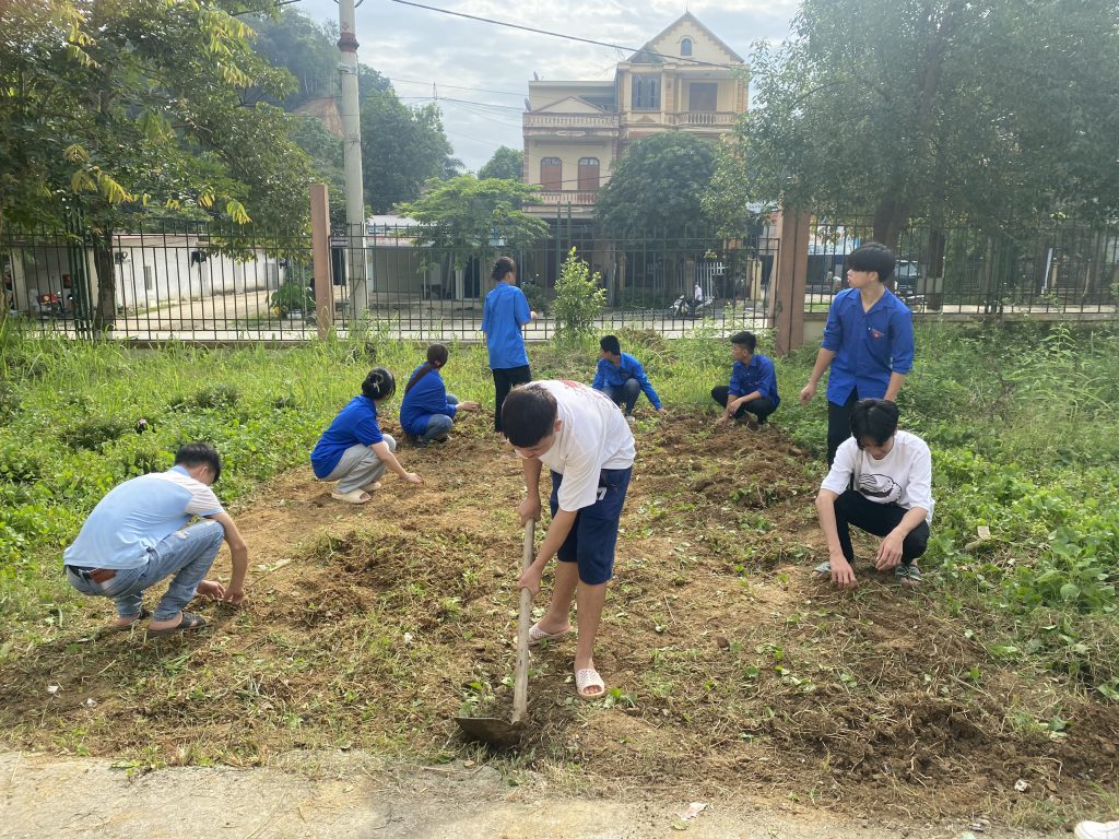 TRƯỜNG CAO ĐẲNG BẮC KẠN