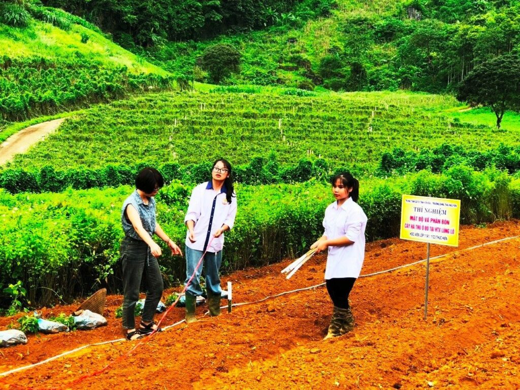 TRƯỜNG CAO ĐẲNG BẮC KẠN